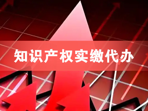 昭通知识产权实缴资本代办